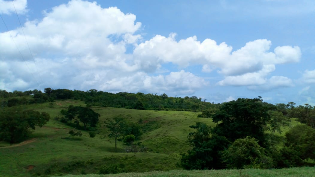 Finca en venta en Córdoba cerca de Montería