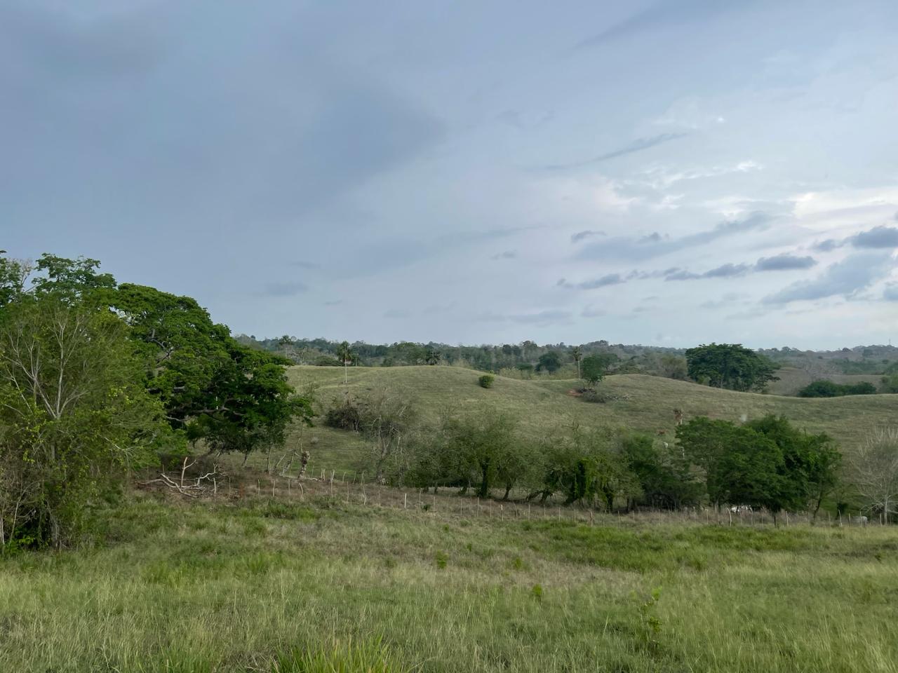 Finca en venta en Córdoba cerca de Montería