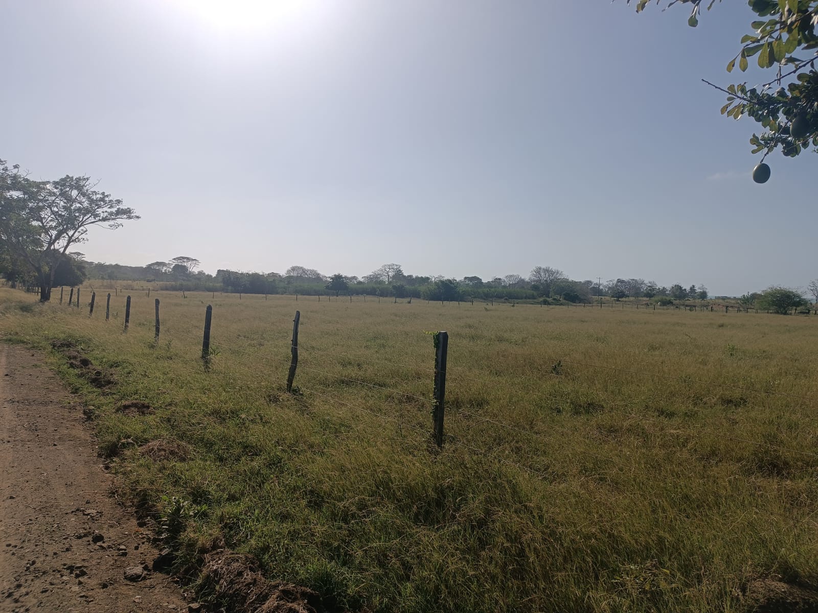 Finca en venta en Puerto Escondido Cordoba