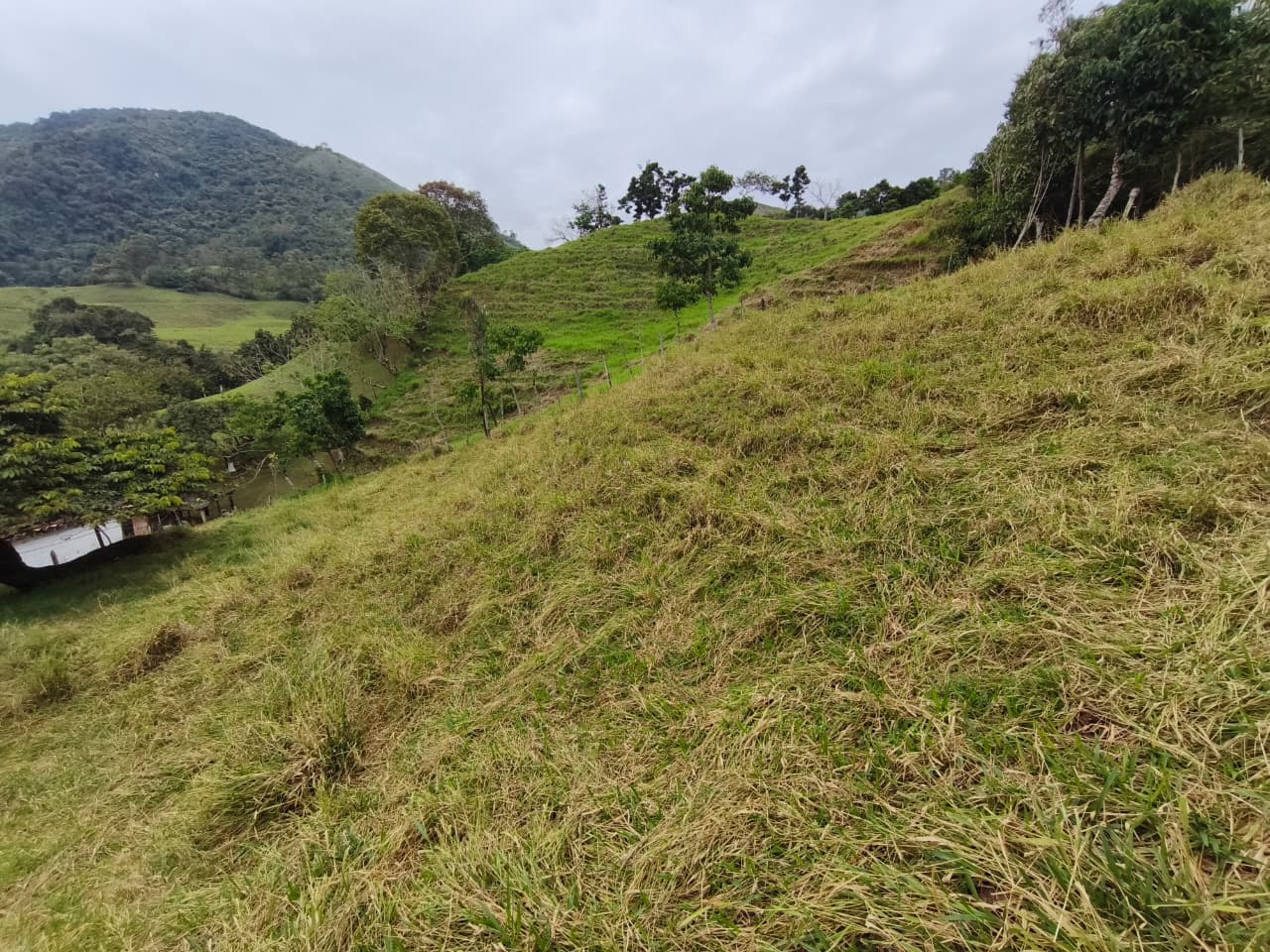 Finca en venta Titiribí Antioquia sector jardín