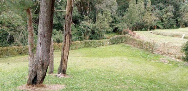 Lote en venta en las Palmas Medellin