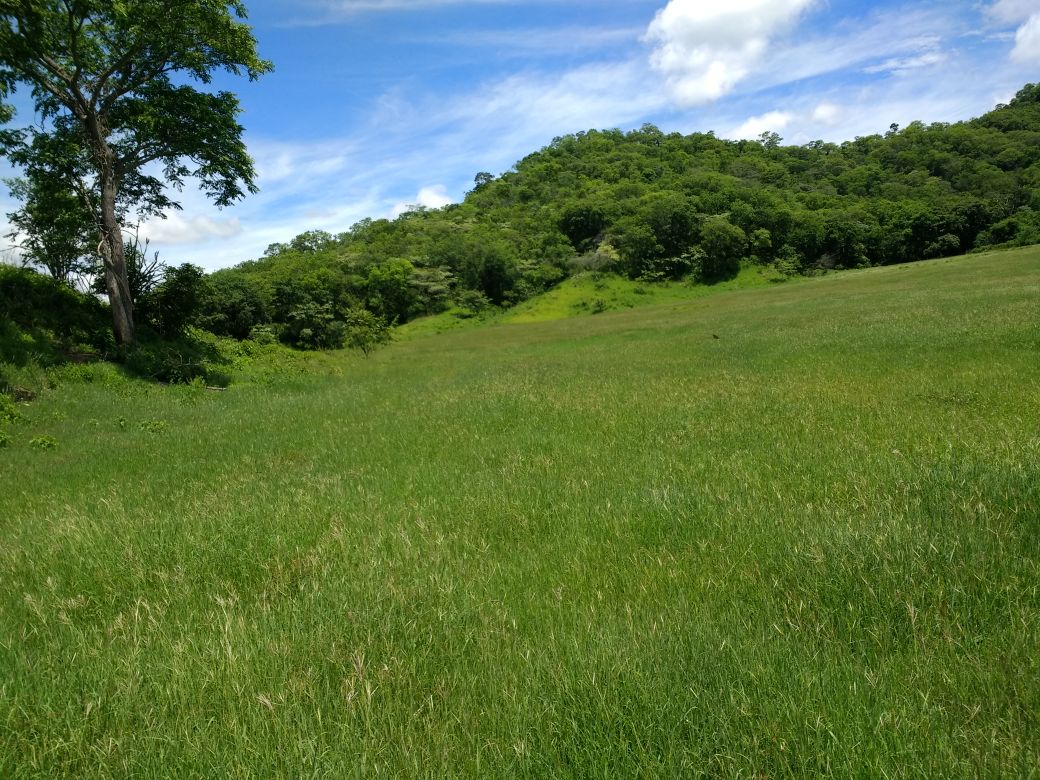 Finca en venta en el Tolima