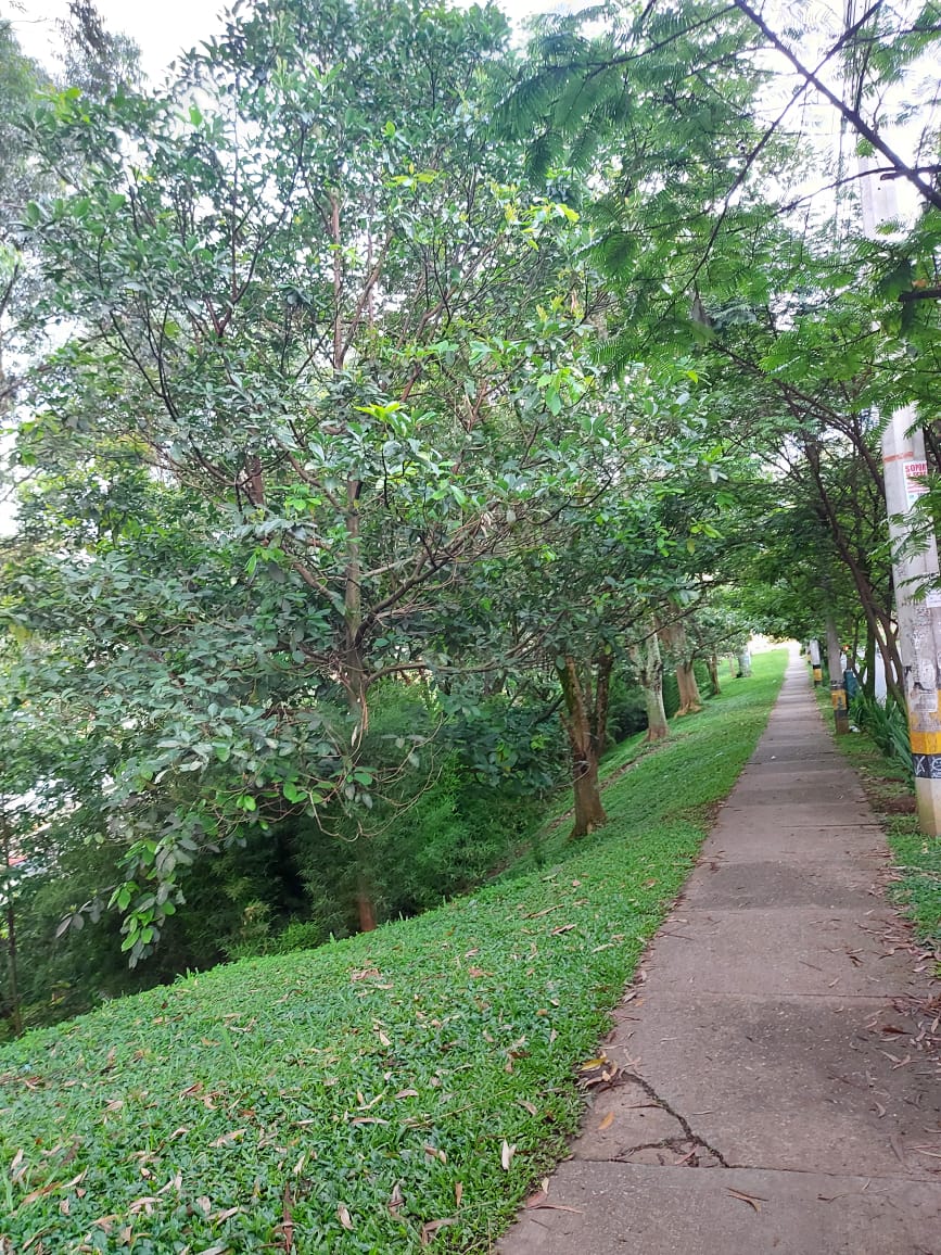 Casa en venta en la Estrella Antioquia