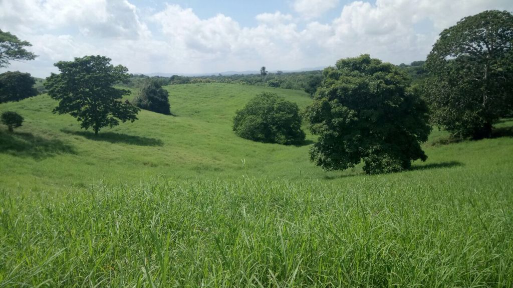 Finca en venta en  Montería vía Arboletes