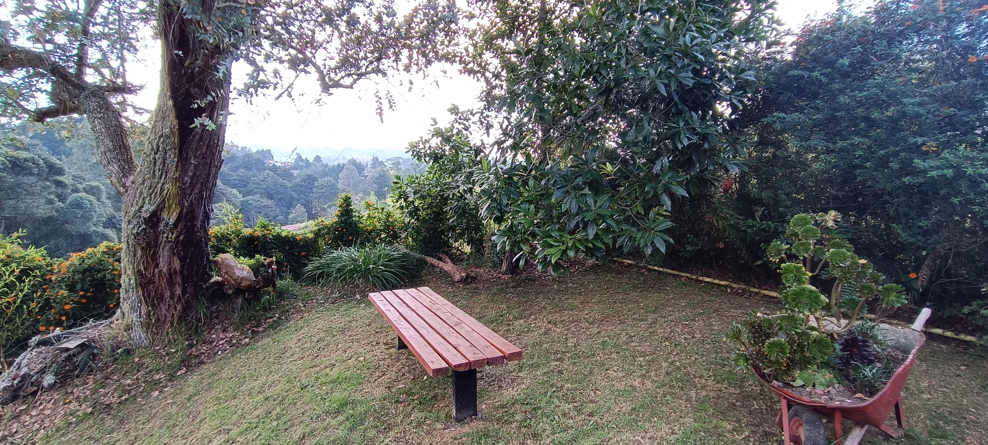 Venta de cabaña en Santa Elena Vereda El Cerro
