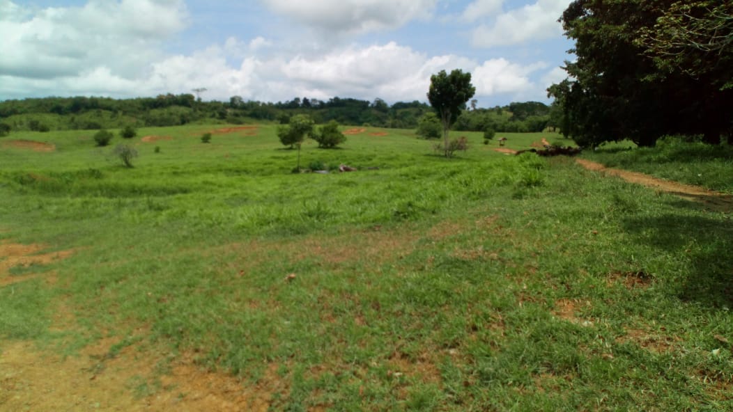 Finca en venta en Córdoba cerca de Montería