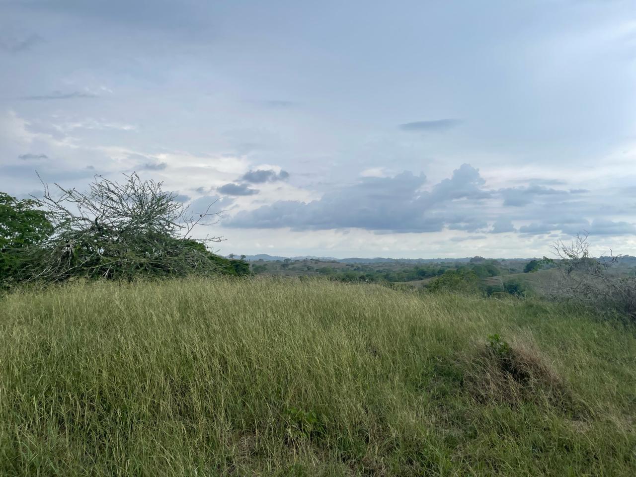 Finca en venta en Córdoba cerca de Montería