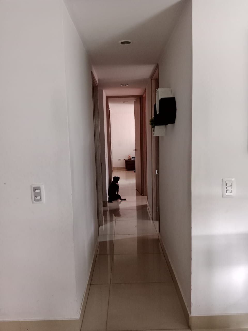 Apartamento en venta en Pilarica Medellin