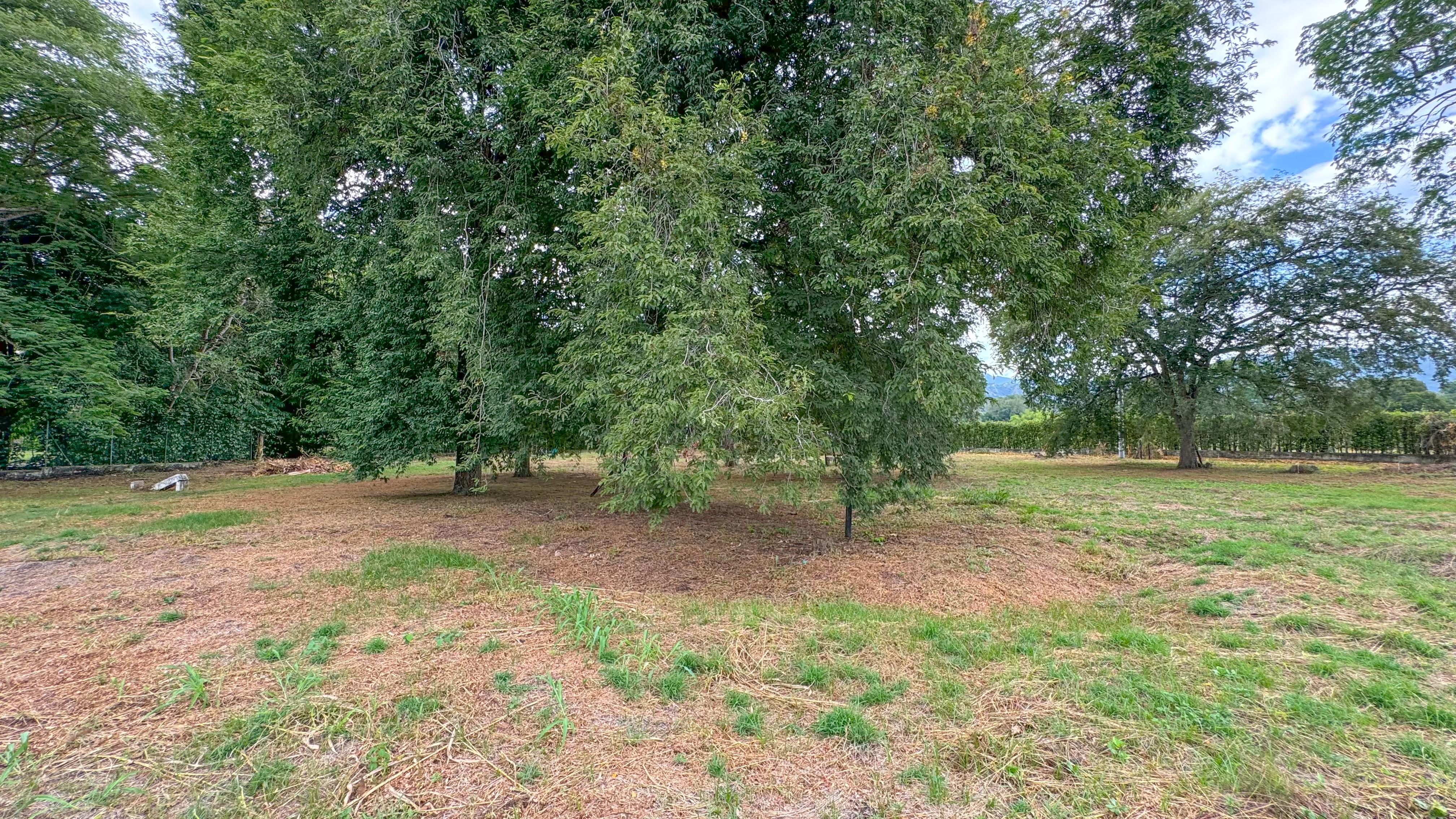 Finca en Venta en Santa Fe de Antioquia