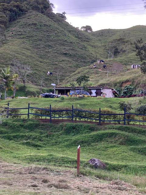 Finca Agropecuaria en Venta en Santo Domingo Antioquia