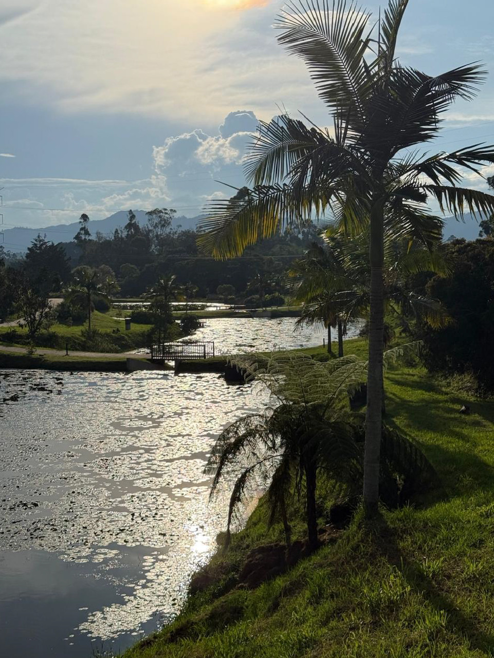 Lote en venta en la Ceja Antioquia