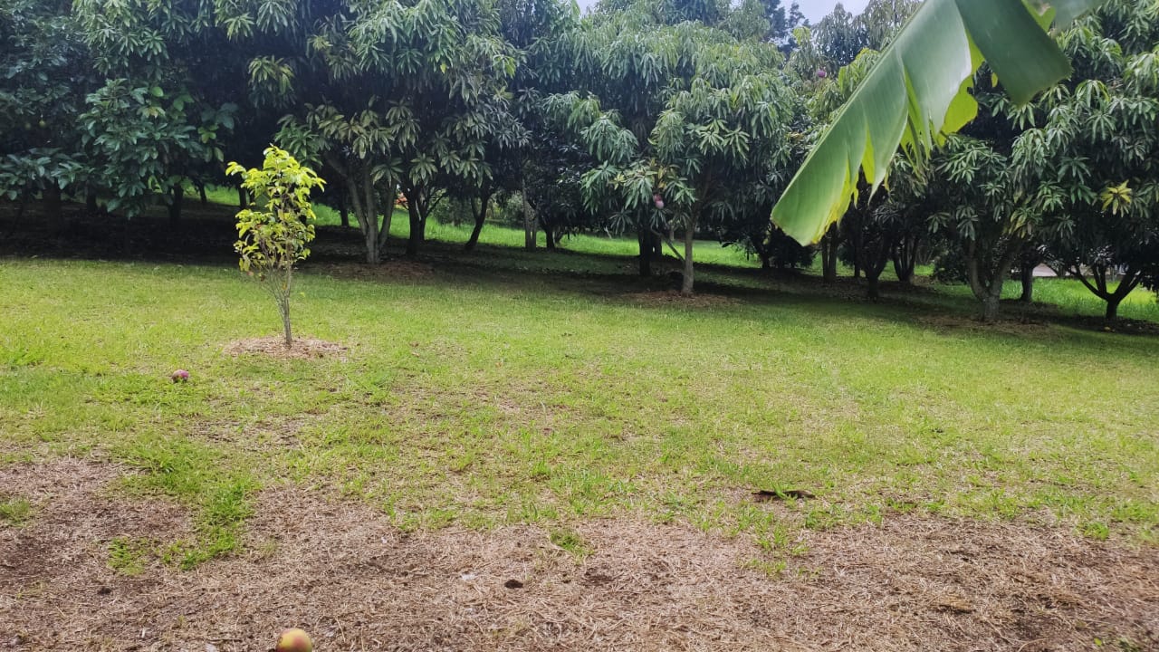 Finca para la venta en Copacabana  Antioquia