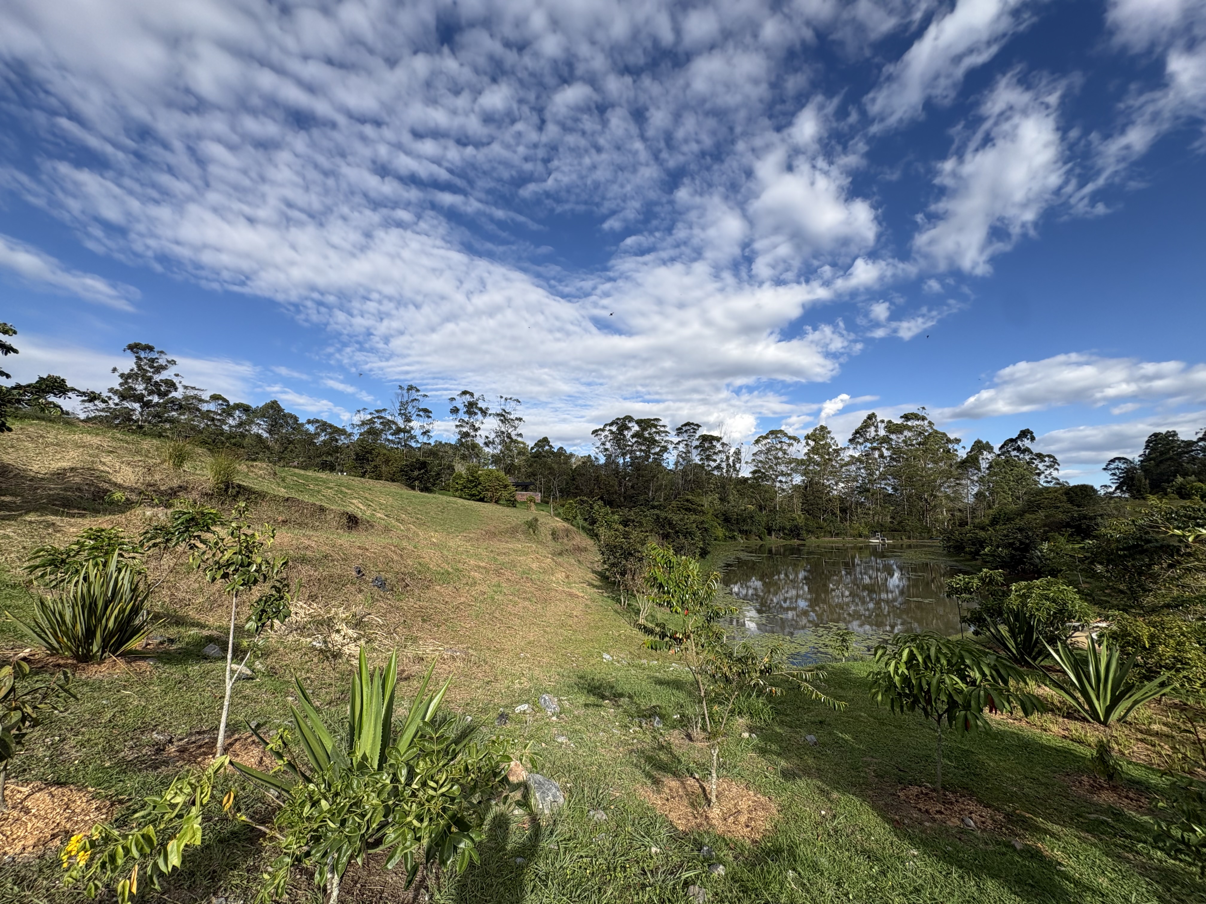 Lote para la venta en Rionegro sector El Tablazo