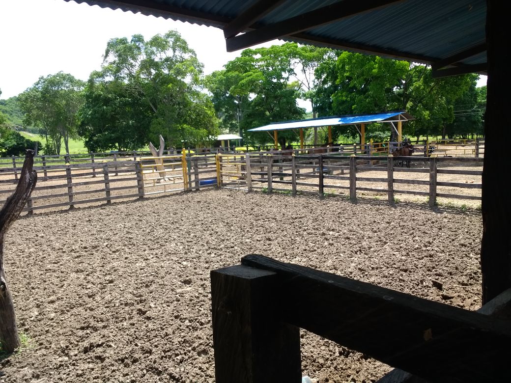 Finca en venta en el Tolima