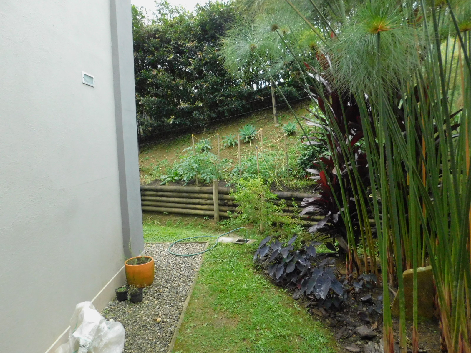 Casa en venta en las Palmas Medellin