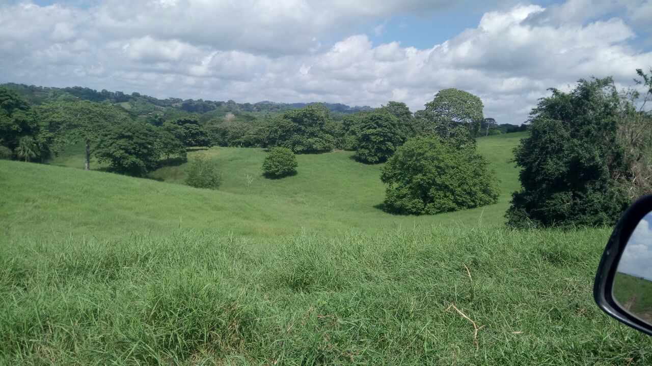 Finca en venta en  Montería vía Arboletes