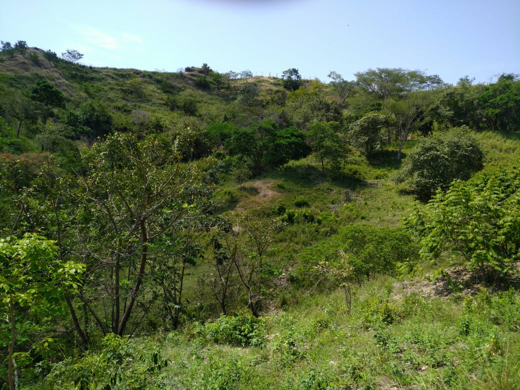 Finca en venta en Beltran  Cundinamarca