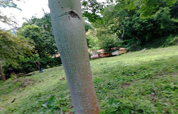 Lote en venta en San Jerónimo -  Antioquia