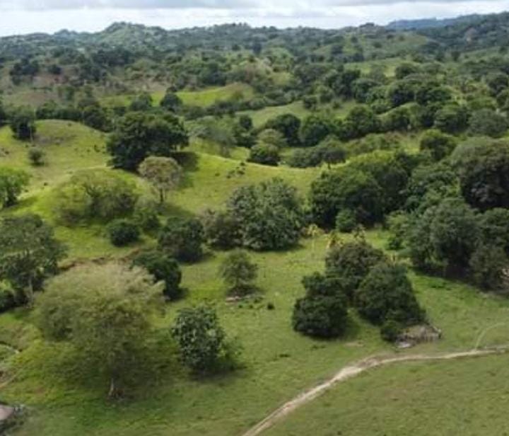 Finca en venta en Córdoba cerca de Montería