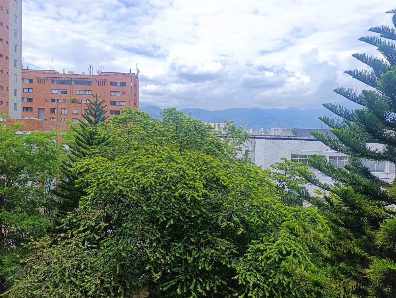 Apartamento en venta Medellín sector San diego zona plana