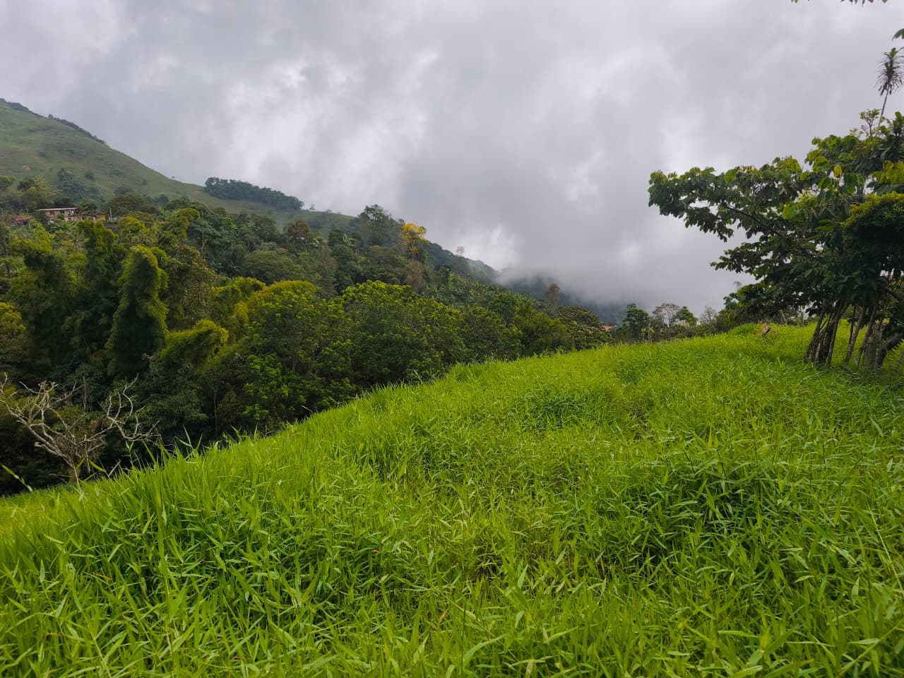 Finca en venta Titiribí Antioquia sector jardín