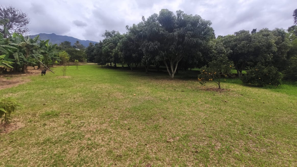 Finca para la venta en Copacabana  Antioquia