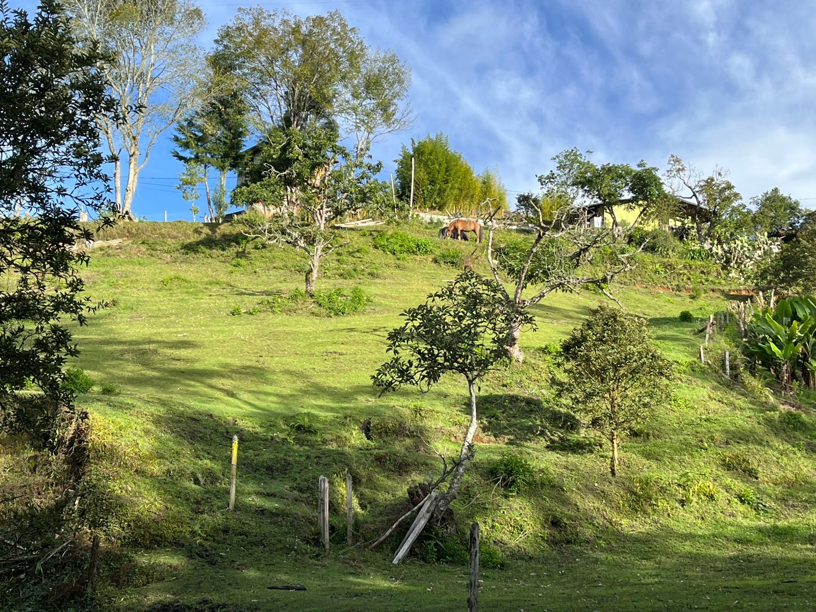 Finca para la venta en Marinilla vereda El Socorro