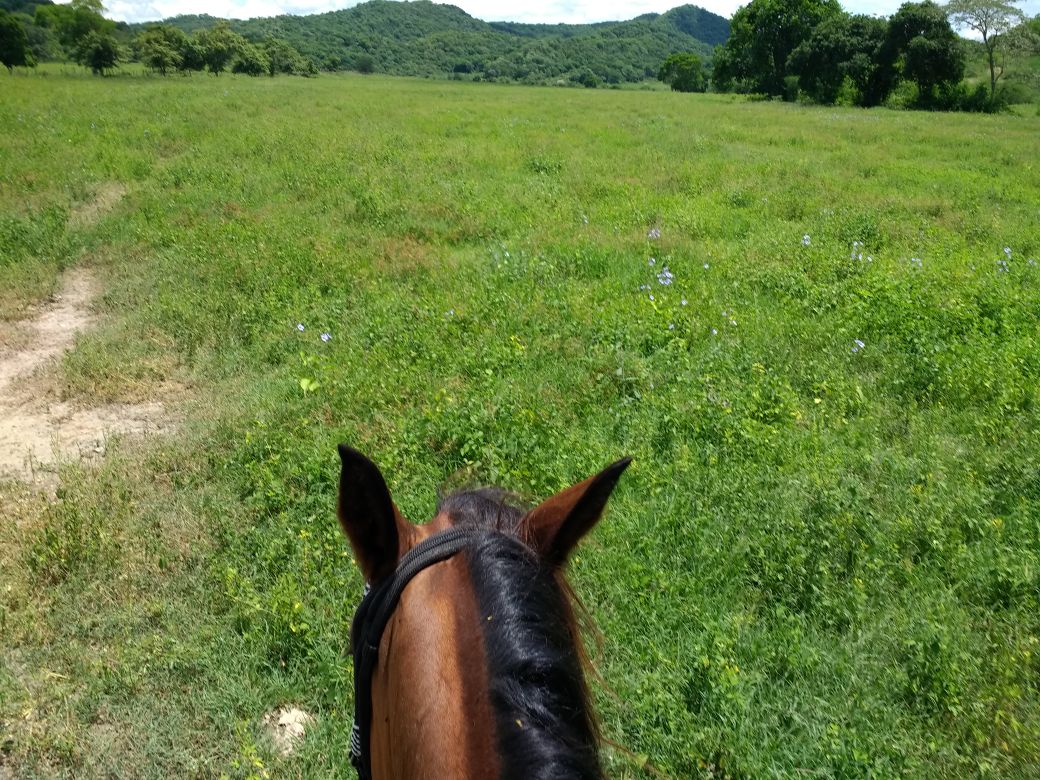 Finca en venta en el Tolima