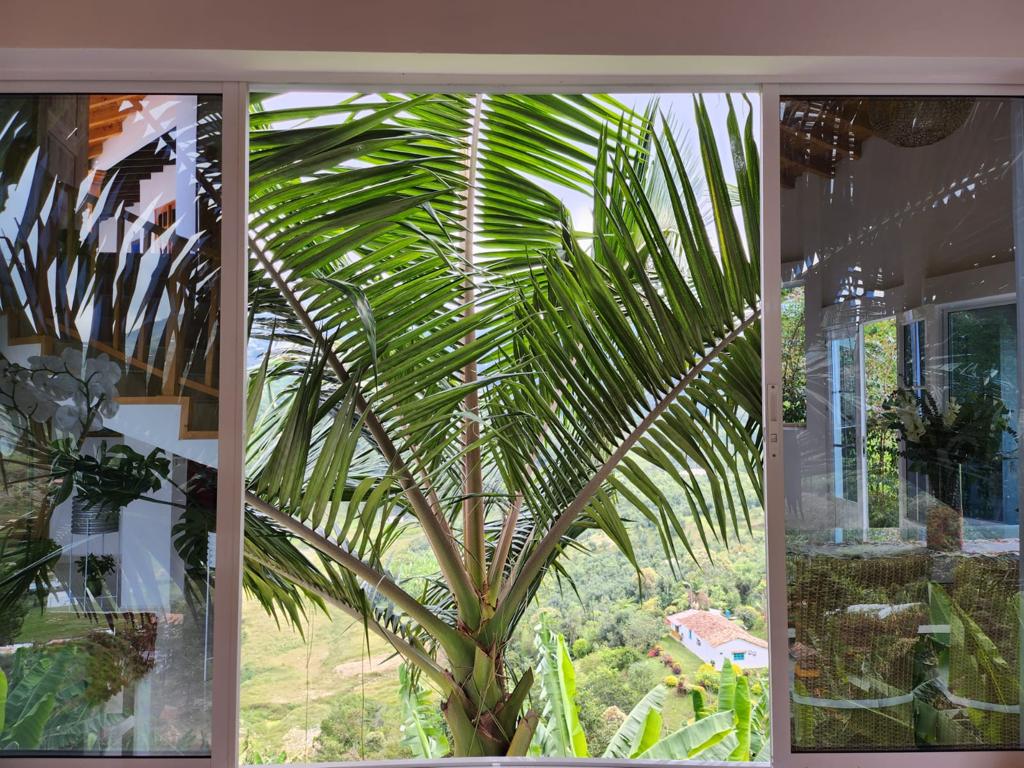 Venta de finca en El Peñol Vereda La Helida