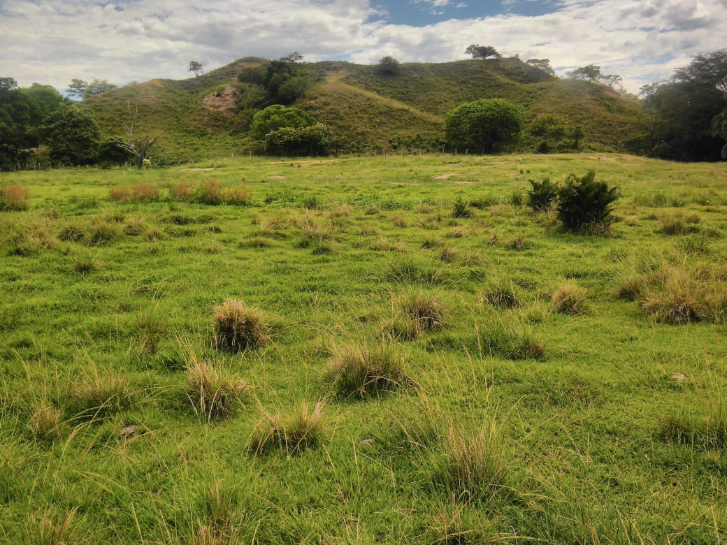 Finca en venta en Beltran  Cundinamarca