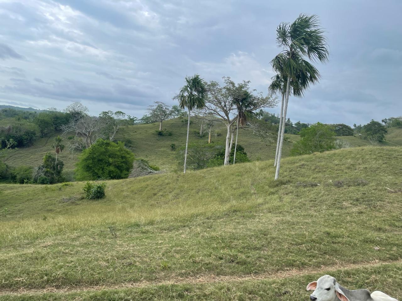 Finca en venta en Córdoba cerca de Montería