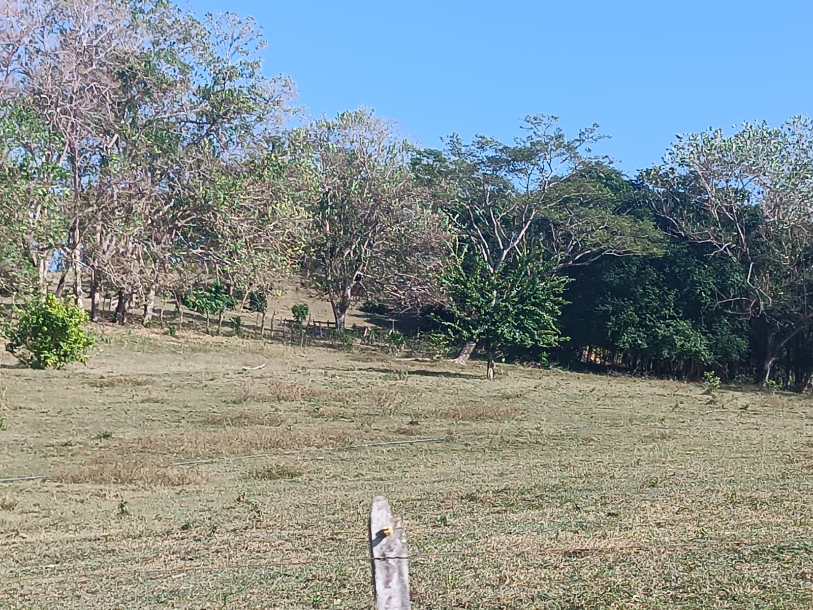 Finca en venta en Puerto Escondido Cordoba
