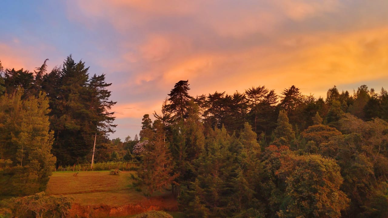 Lote en venta en las Palmas Medellin