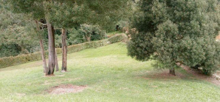 Lote en venta en las Palmas Medellin