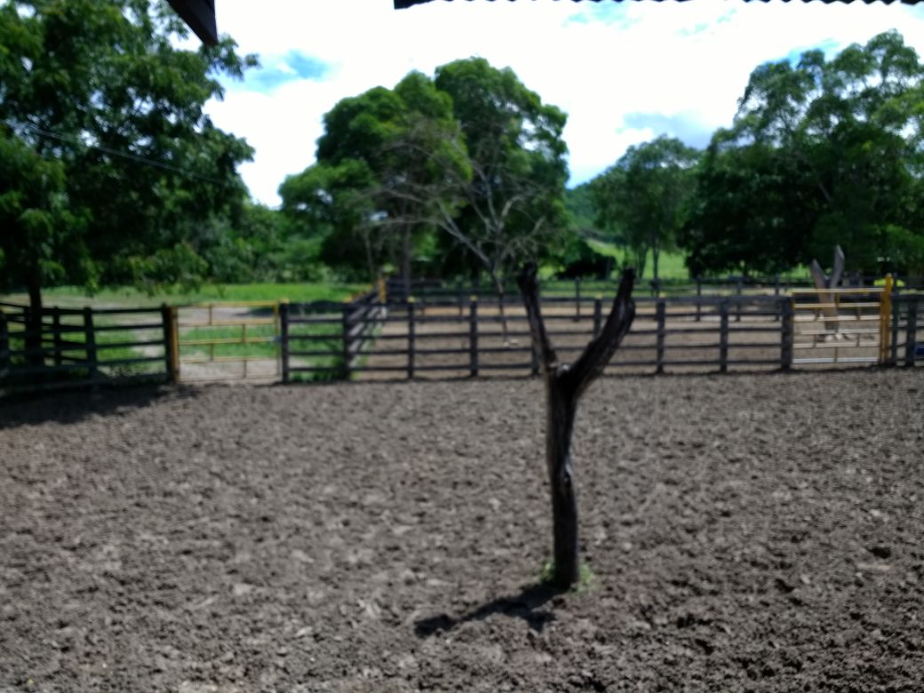 Finca en venta en el Tolima