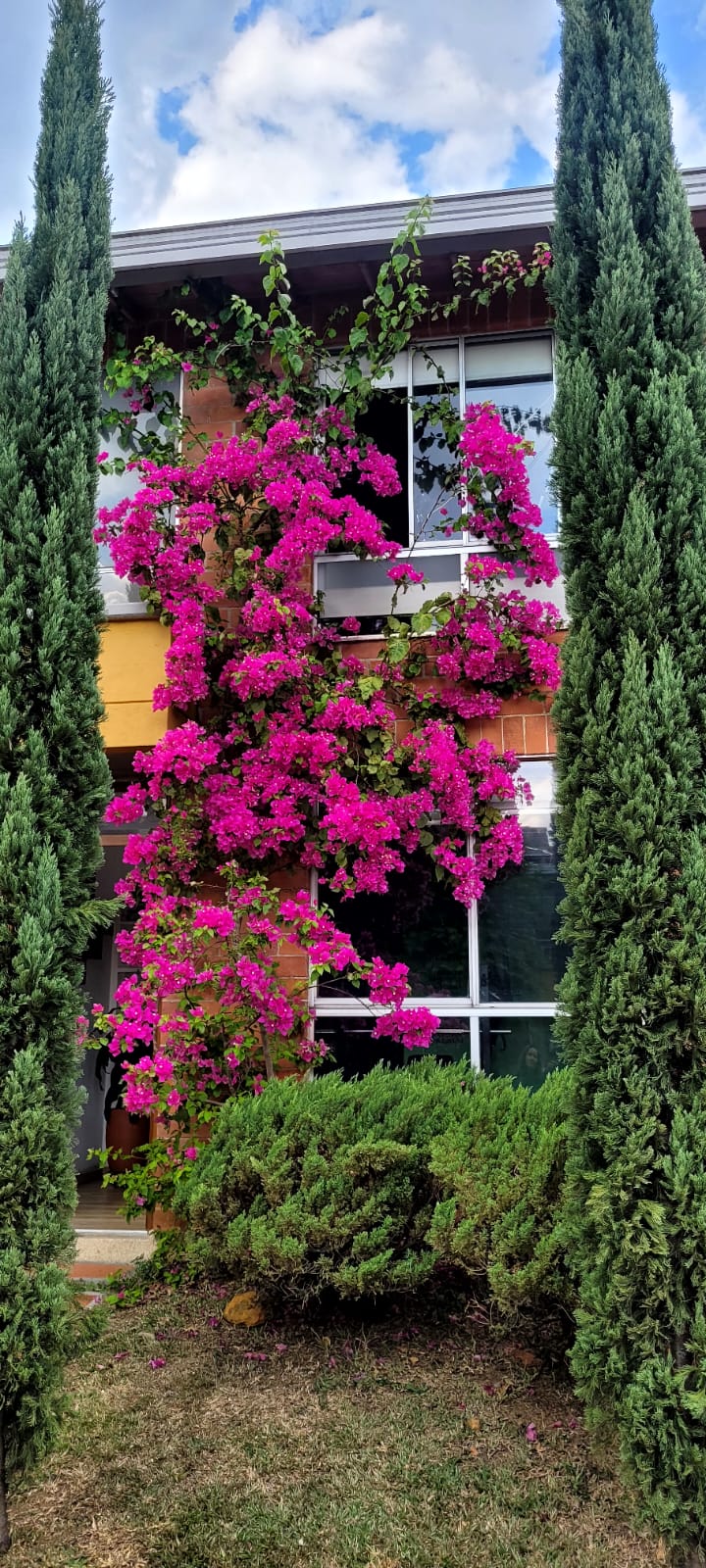 Casa en venta en la Estrella Suramerica