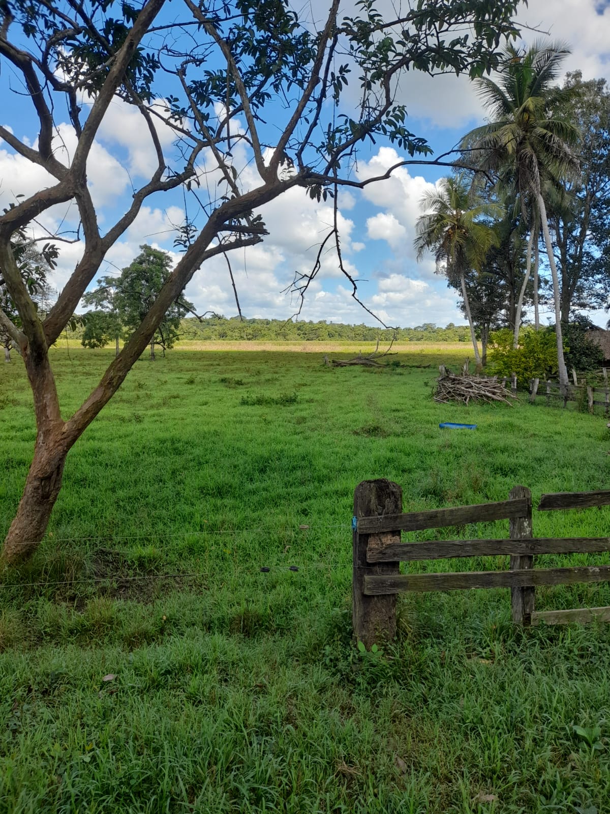 Finca en venta en Córdoba cerca de Montería