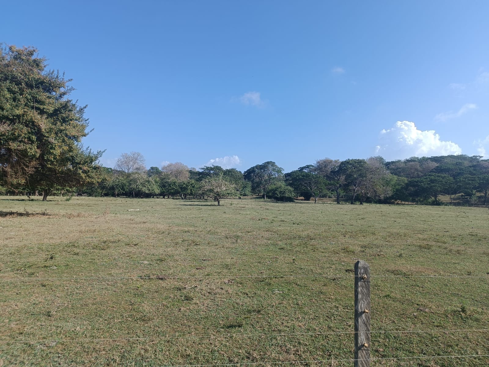 Finca en venta en Puerto Escondido Cordoba