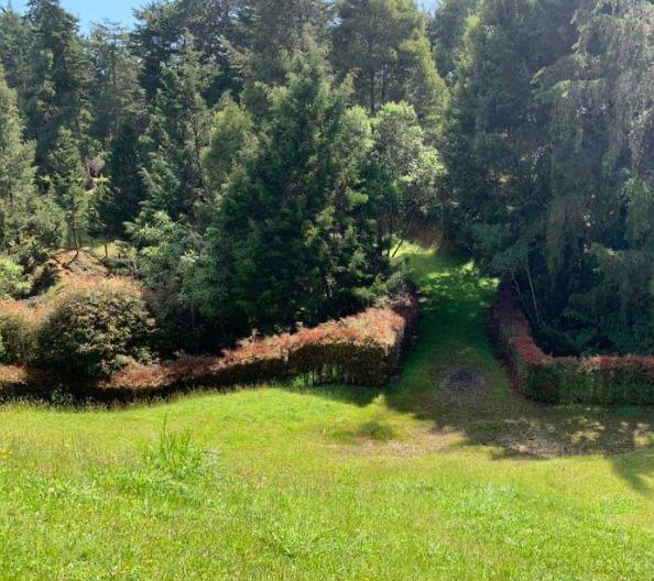 Lote en venta en las Palmas Medellin