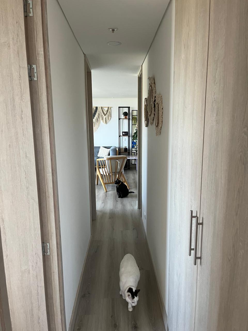 Apartamento en venta en Envigado las Brujas