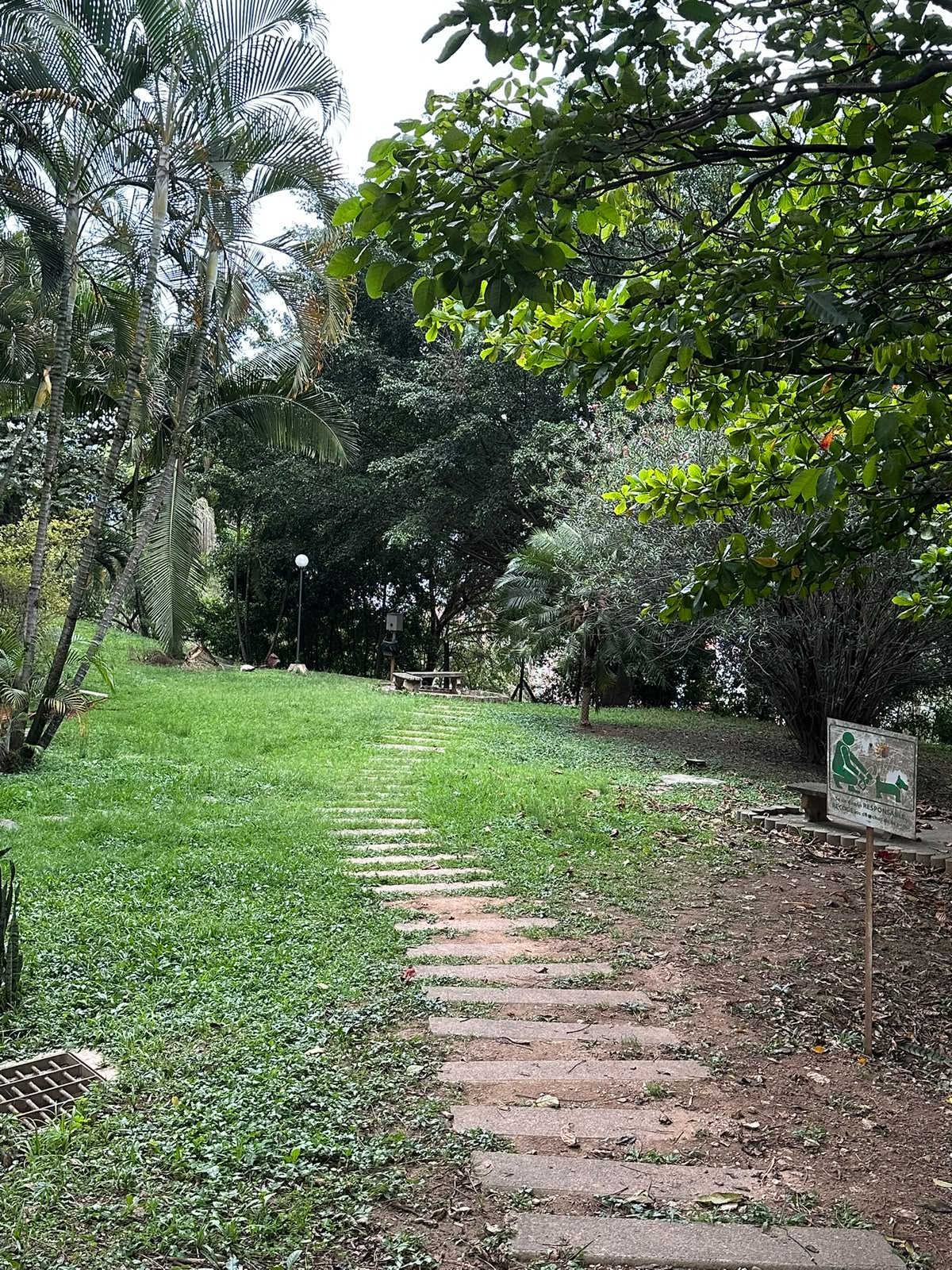 Apartamento DUPLEX en venta en Calasanz Medellín Antioquia