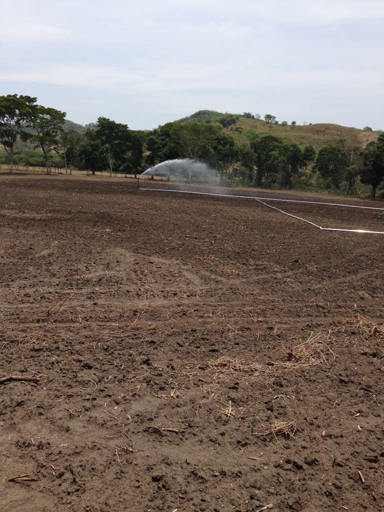 Finca en venta en el Tolima
