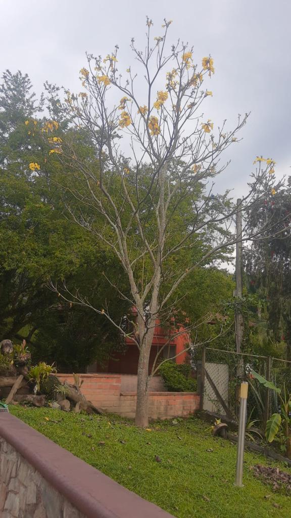 Casa en Venta en El Escobero Envigado