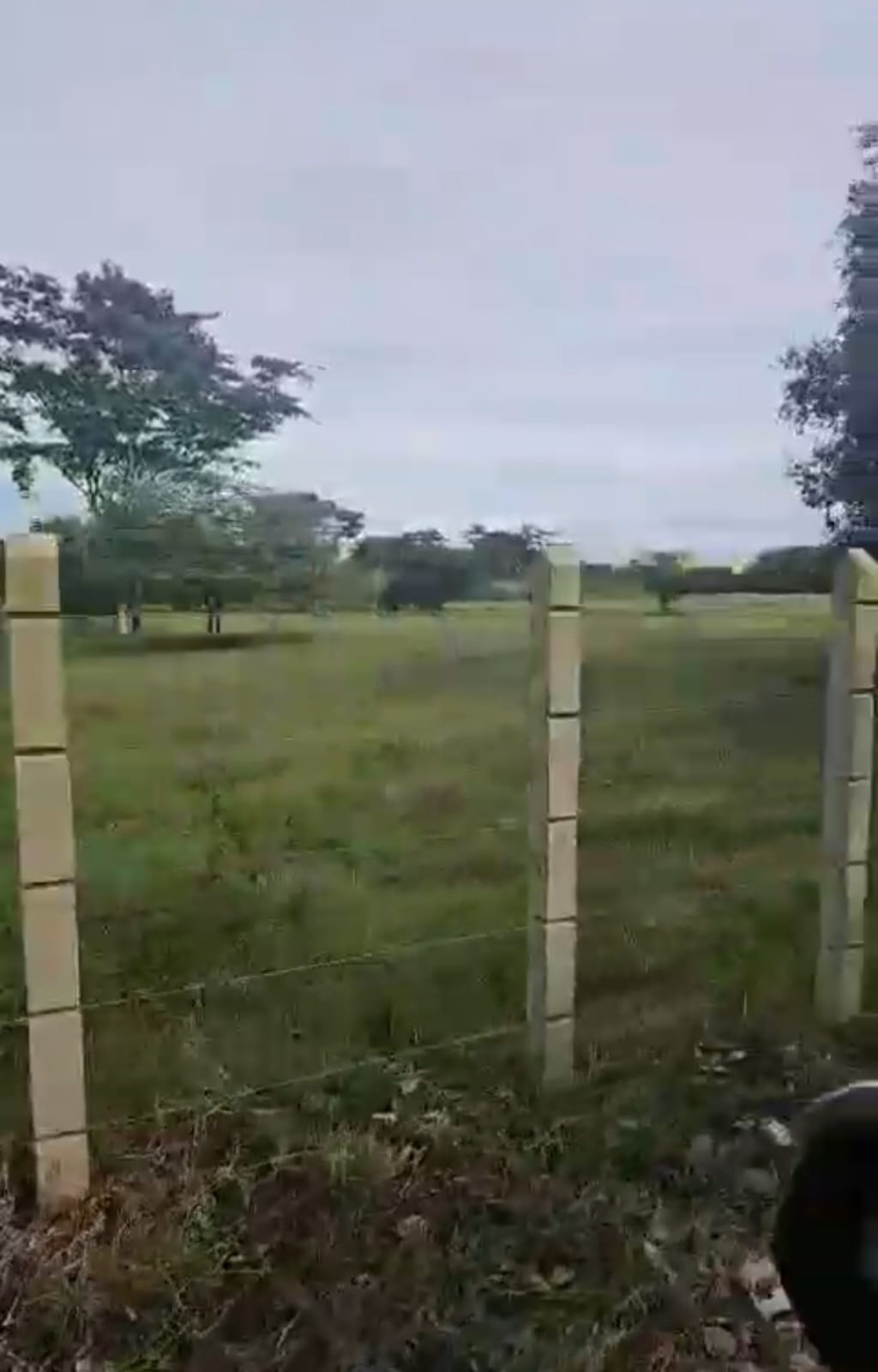 Vendo Finca Ganadera Momil Cordoba