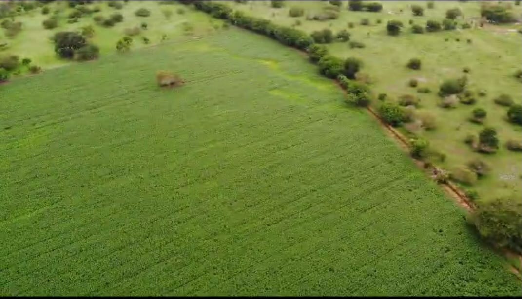 Venta de Finca Tecnificada para la Ganadería y Agricultura Córdoba