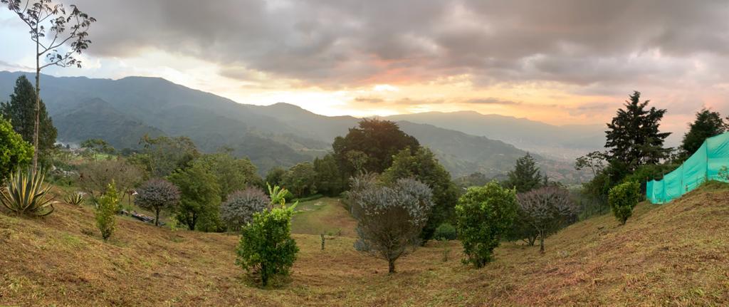 Venta de lote en Envigado Loma del Escobero
