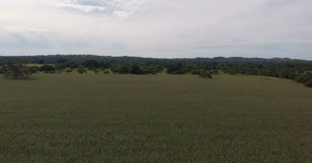 VENTA DE FINCA EN MOMIL CORDOBA MONTERIA