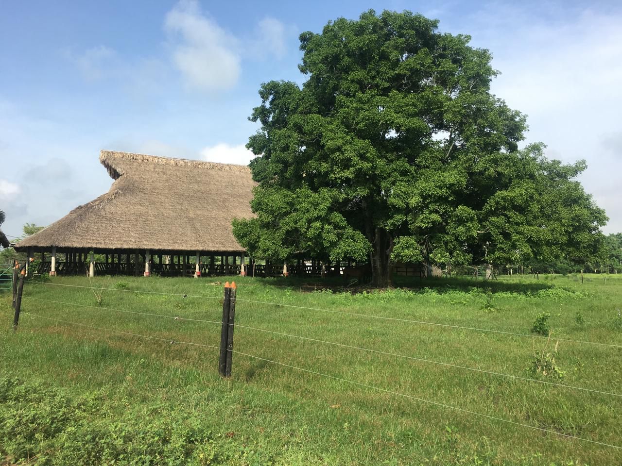 Finca en Venta en San Onofre Sucre