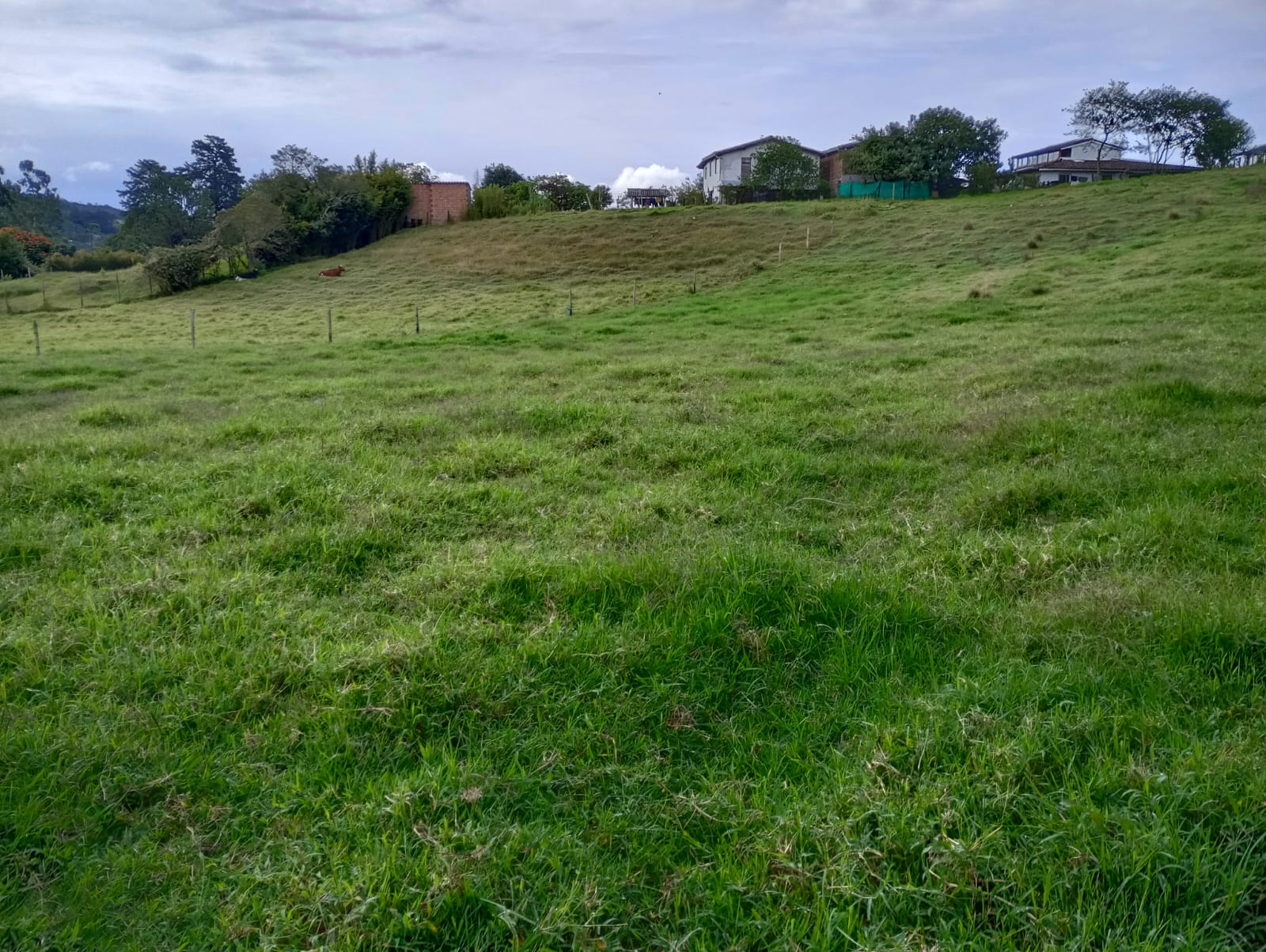 Lote en venta en Vereda Guamito - Carmen de Viboral