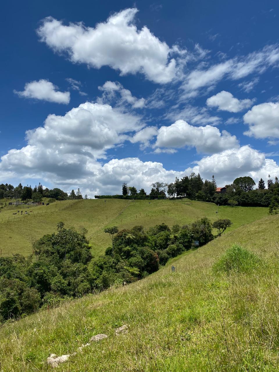 Lote para la venta en El Retiro sector Pantanillo